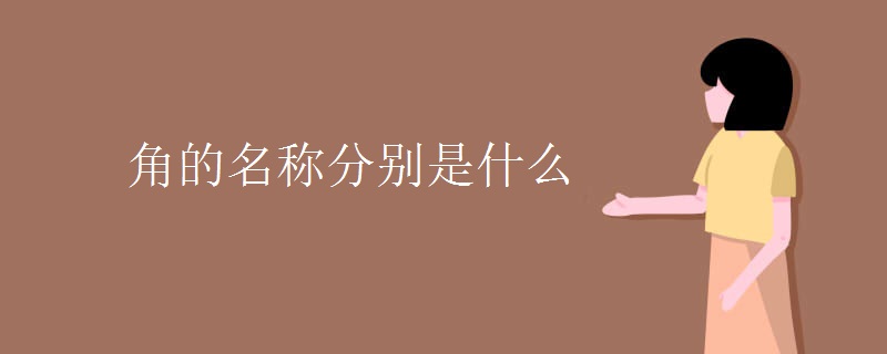 角的名称分别是什么