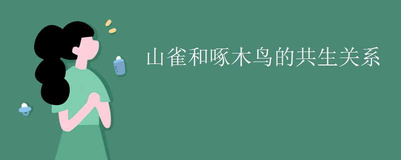 山雀和啄木鸟的共生关系