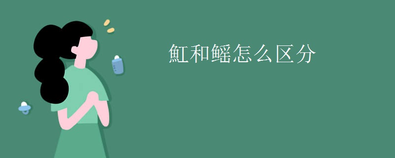 魟和鳐怎么区分