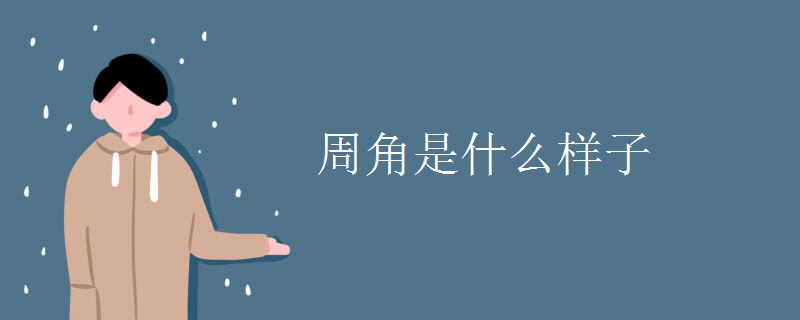周角是什么样子
