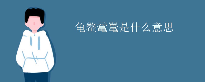 龟鳖鼋鼍是什么意思