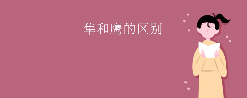 隼和鹰的区别