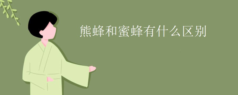 熊蜂和蜜蜂有什么区别
