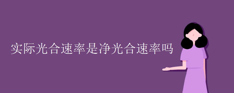实际光合速率是净光合速率吗