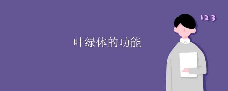 叶绿体的功能
