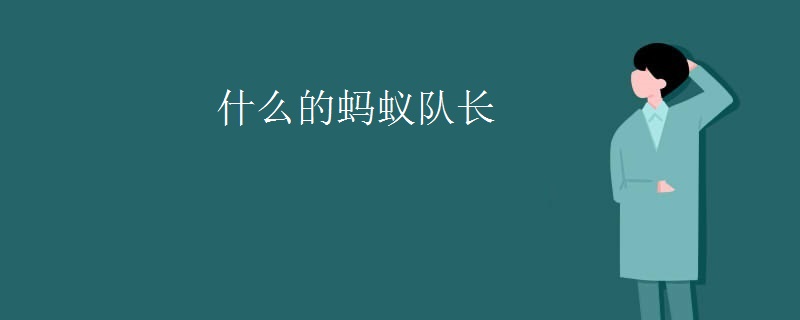 什么的蚂蚁队长