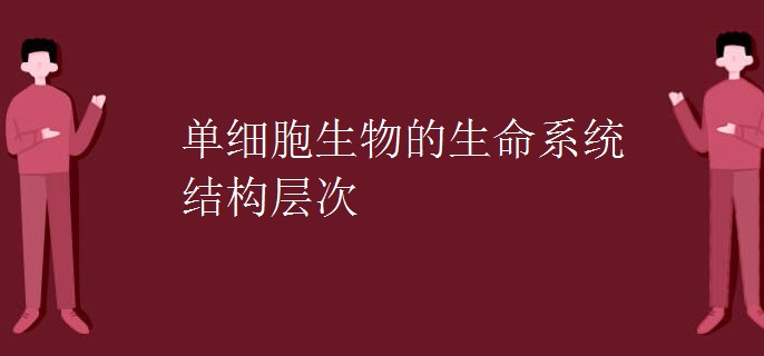 单细胞生物的生命系统结构层次