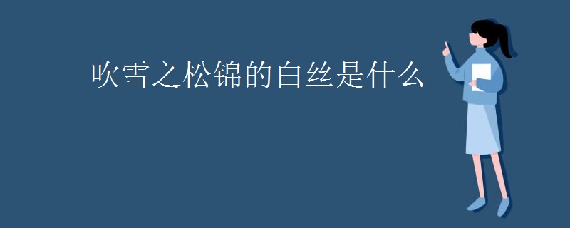 吹雪之松锦的白丝是什么
