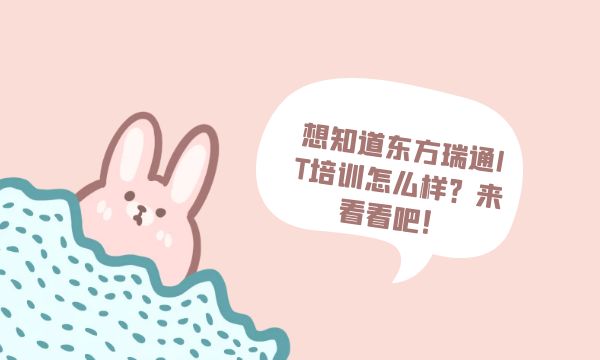 东方瑞通IT培训怎么样_培训价格多少钱