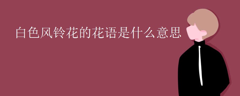 白色风铃花的花语是什么意思