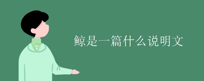 鲸是一篇什么说明文