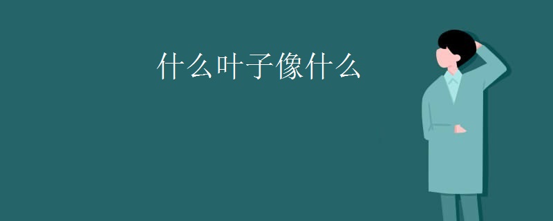什么叶子像什么