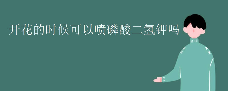 开花的时候可以喷磷酸二氢钾吗