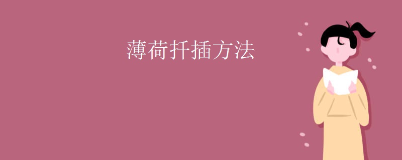 薄荷扦插方法