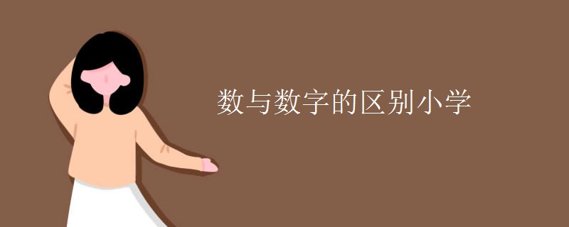 数与数字的区别小学