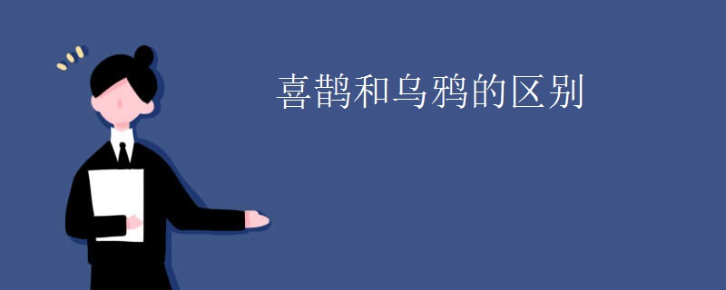 喜鹊和乌鸦的区别