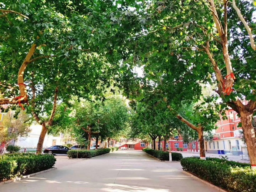 石家庄同创铁路运输中专学校环境