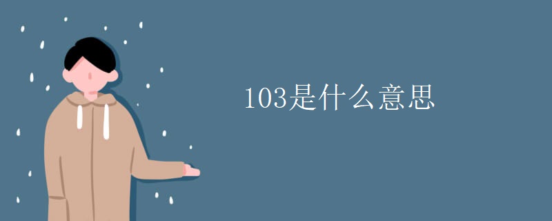 103是什么意思