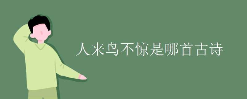 人来鸟不惊是哪首古诗
