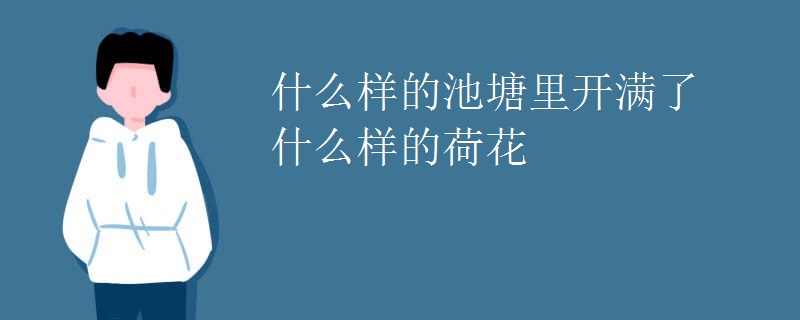 什么样的池塘里开满了什么样的荷花