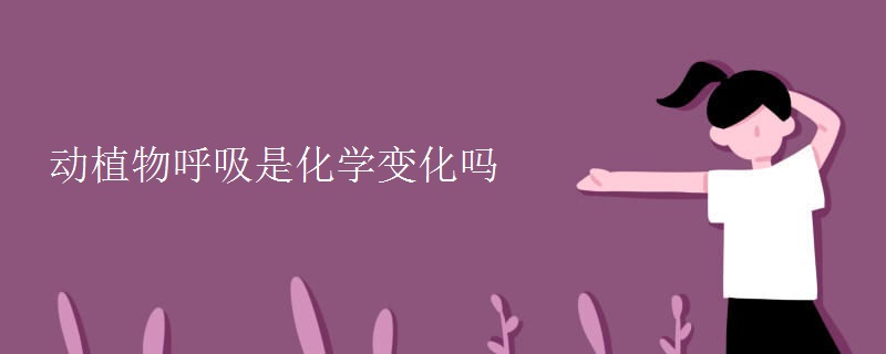 动植物呼吸是化学变化吗