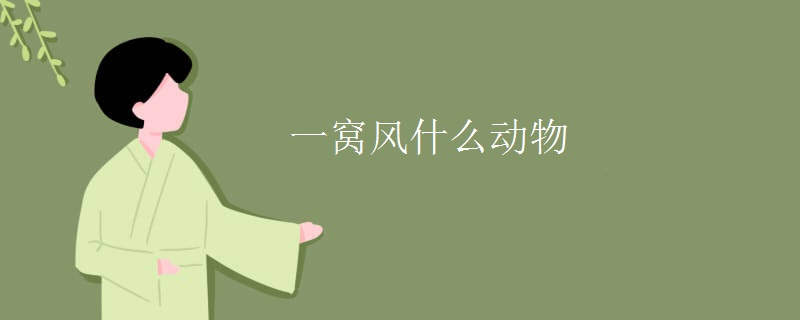 一窝风什么动物