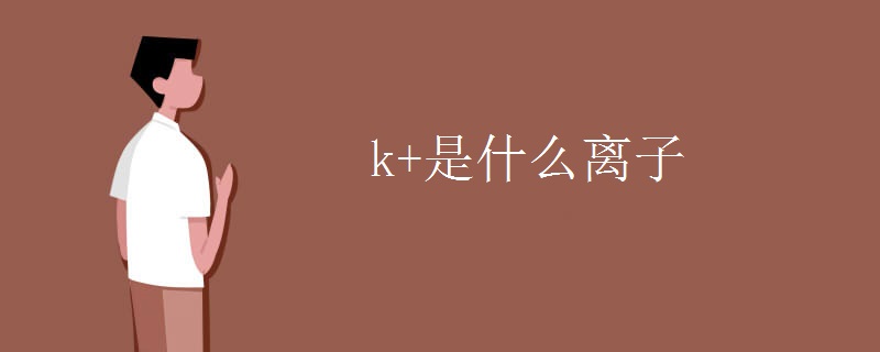 k+是什么离子