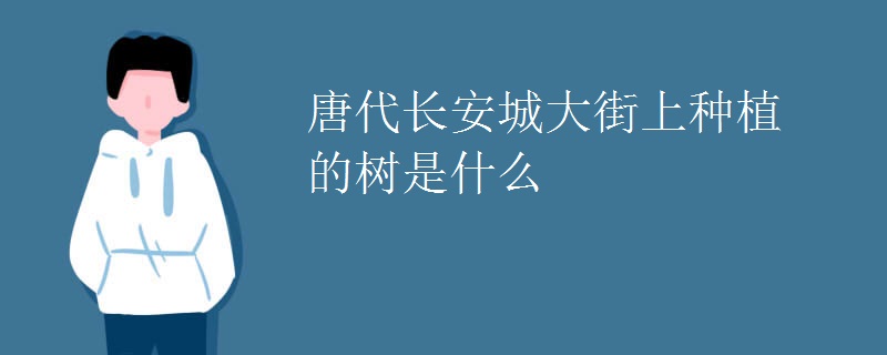 唐代长安城大街上种植的树是什么