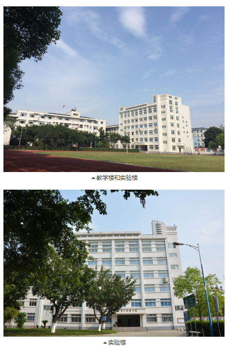 四川理工技师学院环境
