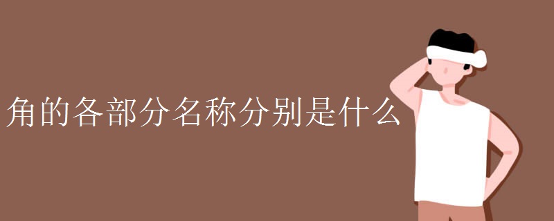 角的各部分名称分别是什么