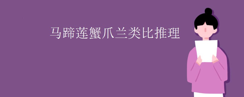 马蹄莲蟹爪兰类比推理