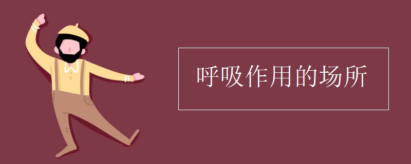 呼吸作用的场所