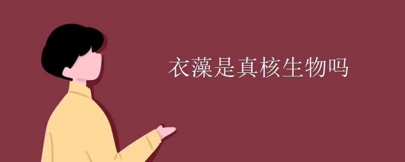 衣藻是真核生物吗