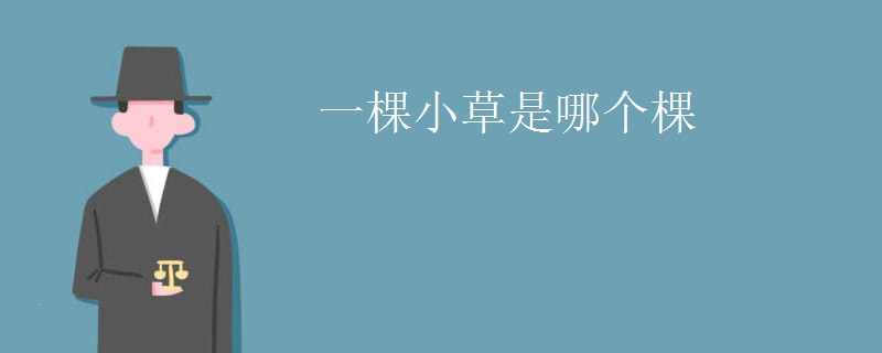 一棵小草是哪个棵