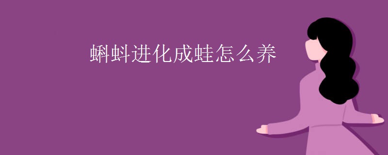 蝌蚪进化成蛙怎么养