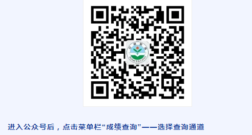 2021日照中考查分方式