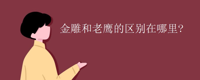 金雕和老鹰的区别在哪里?
