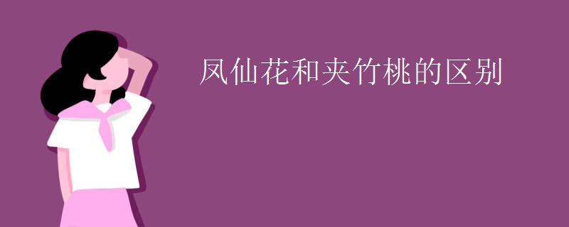 凤仙花和夹竹桃的区别