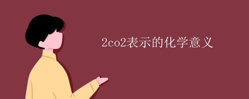 2co2表示的化学意义