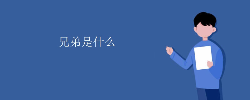 兄弟是什么