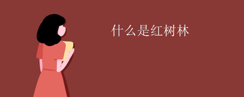 什么是红树林