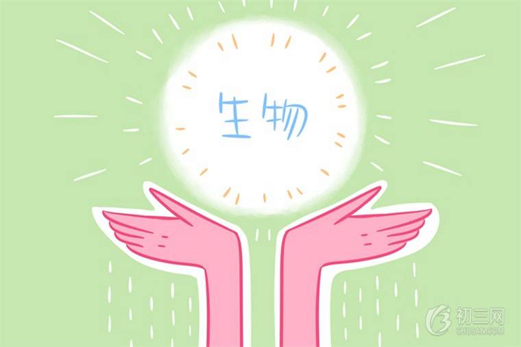 无脊椎动物的分类有哪些
