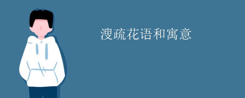 溲疏花语和寓意