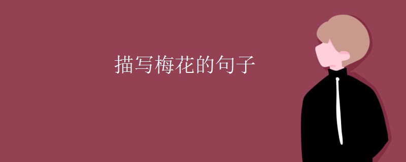 描写梅花的句子